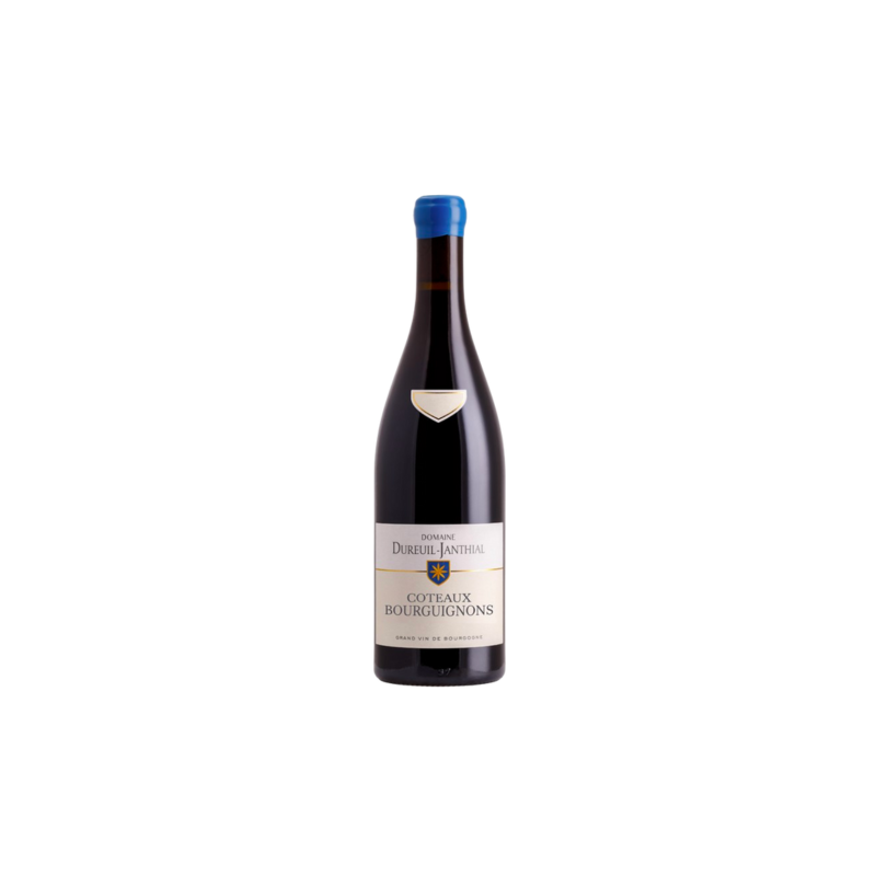 BOURGOGNE COTEAU BOURGUIGNON ROUGE Vincent DUREUIL JANTHIAL 2021