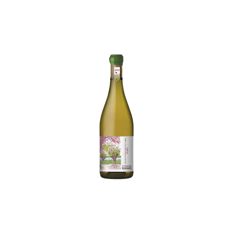 RHONE LIRAC Blanc Domaine MAYARD 2023 RHONE LIRAC Blanc Domaine MAYARD 2023