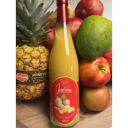JUS DE GINGEMBRE BRUT 70%