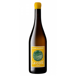 LOIRE Aoc CHINON Domaine des Bernard. LA COTE 2022