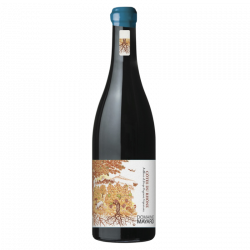 COTES DU RHONE Domaine MAYARD 2025